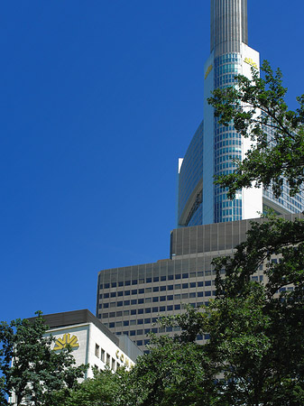 Commerzbanktower mit Baum Fotos